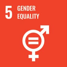 sustainable-gender-equality